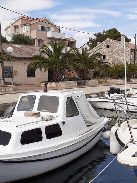 Apartmani Goga 2 Molat Luaran gambar